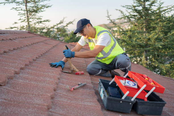 Best Metal Roofing Contractor  in Belville, NC