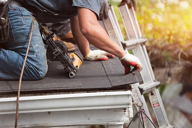 Best Roof Gutter Cleaning  in Belville, NC
